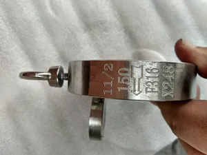 Single Plate Wafer Check Valve 150LB, DN40, ASTM A182 F316