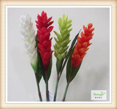 High quality artificial Decorative Alpinia Purpurata