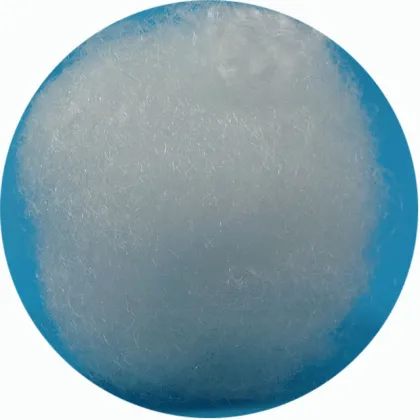 Chemical Raw Material: Coarse Denier Nylon Fiber 60D 76MM