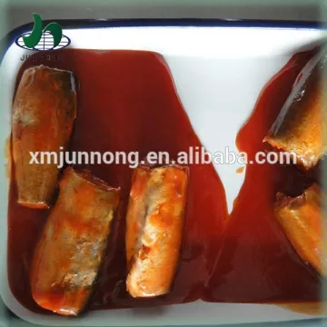 Bulk fresh mackerel in canned tomato sauce flavor