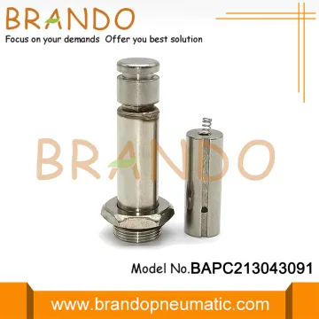 Pulse Jet Solenoid Valve Armature Plunger For Best-Nr.0200 Coil