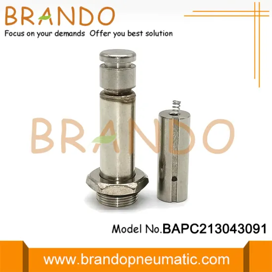 Pulse Jet Solenoid Valve Armature Plunger For Best-Nr.0200 Coil