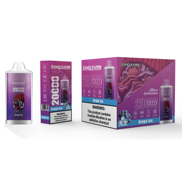 BANG LEADER 20K Puffs Vape Wholesale Germany