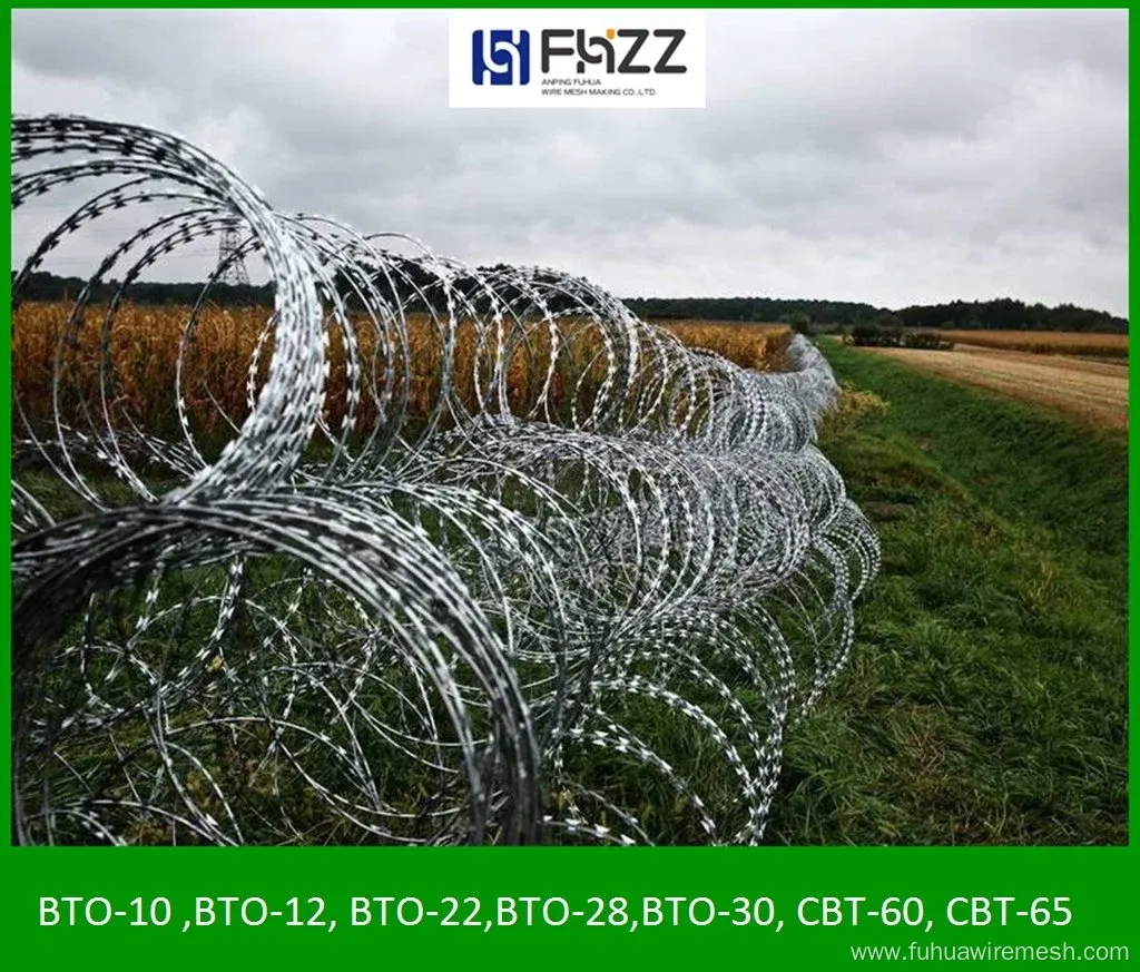 900 mm Coil Barbed Wire Mesh