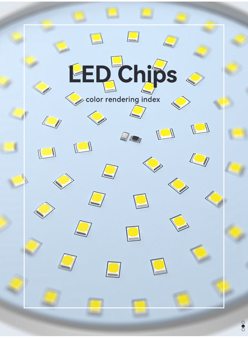 Led Chips