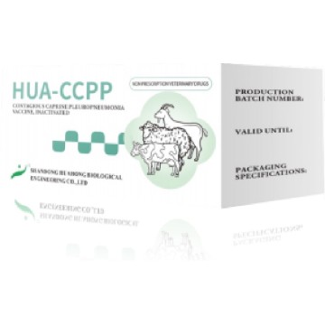 Vaccin contagios contra pleuropneumoniei caprine, inactivat