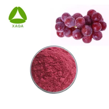 Skin Care Organic Grape Seeds Extract Powder Polyphenol