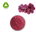 Grape Seeds Polyphenol Skin Care Organic Grape Seeds Extract Powder Polyphenol Manufactory