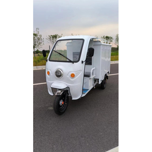 1.6m Simple Three-wheeled Electric Vehicle