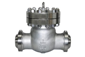 Cast Steel Check Valve