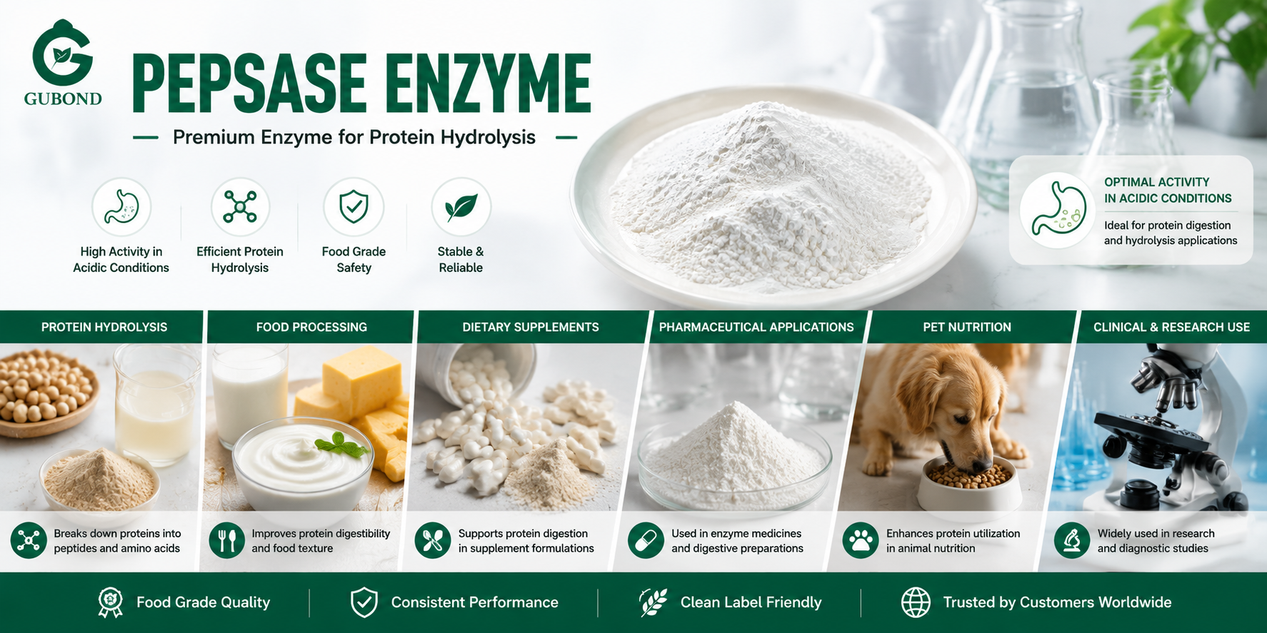 Pepsase Enzyme