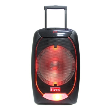 Rechargeable 15 Inch Super Bass Portable Trolley Speaker - Perfect for Parties