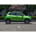 Electric Mini SUV AWD 4x4- ით