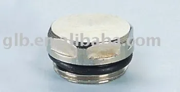 Radiator plug
