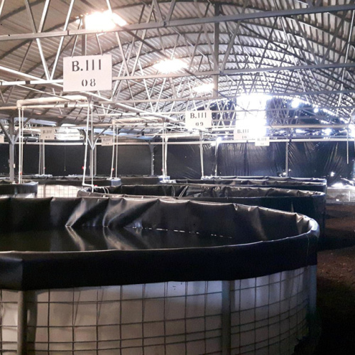 Revestimiento de plástico hdpe geomembrane shrimp farming estanques de revestimiento