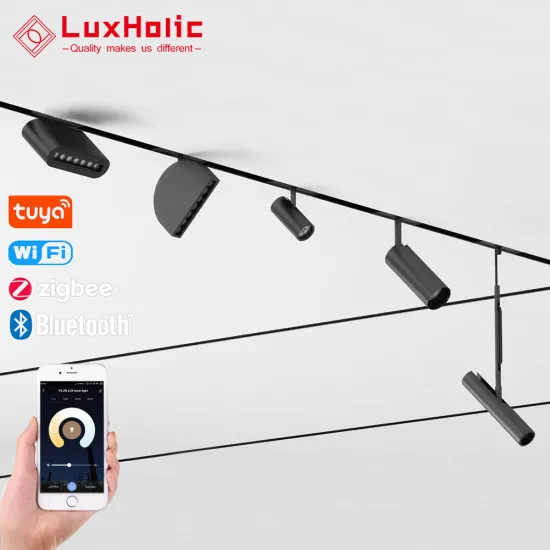 LuxHolic Black 48V Zigbee Dimmable LED Rail Linear Light with Cob Spotlight for Showroom Tuya App Control