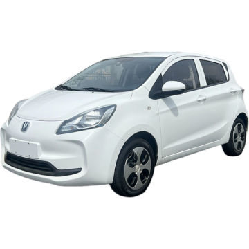 Changan BenBen E-STAR 2021 National Edition