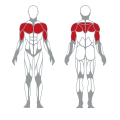 Gym kagamitan sa likod ehersisyo hilig Chest Press