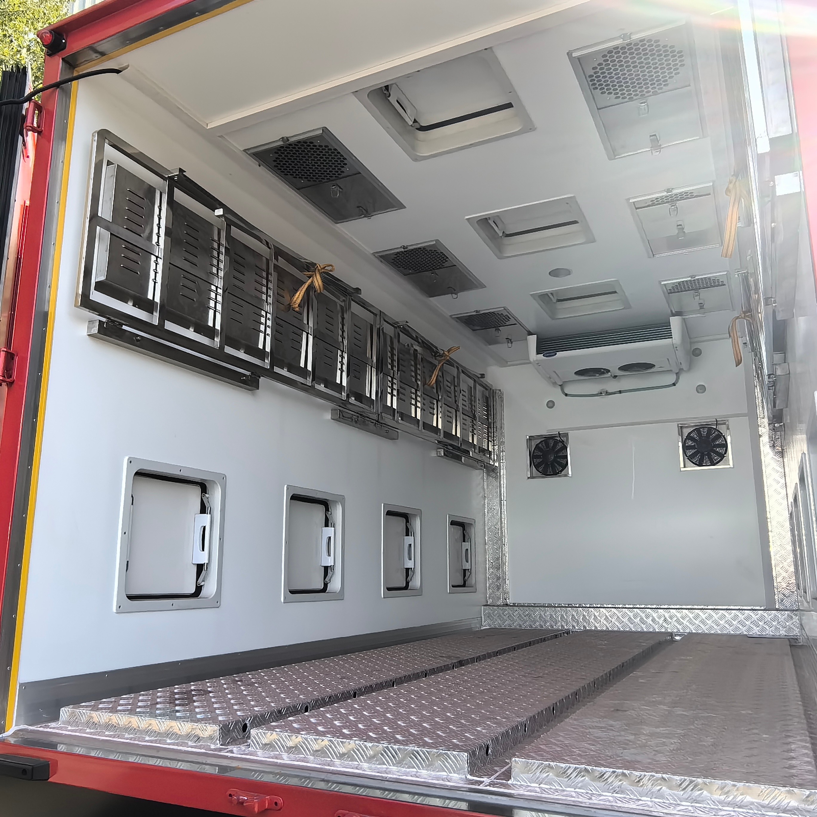 Live Baby Chick Chicken Poultry Delivery Truck
