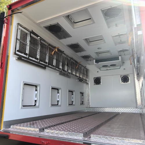 Живая детская цыпочка куриная домашняя птица грузовик