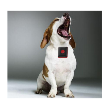 Pets Smart GPS Collar