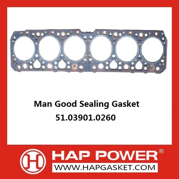 Man OEM 51039100260 Gasket