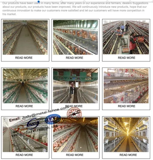 Hot Sale Chicken Layer Battery Poultry Farming Equipment
