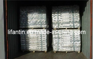 High Purity Magnesium Ingots with Guarante O Quality with Best Service