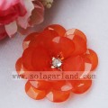 /msite/products/detail/productid/45231213/id/103333.html