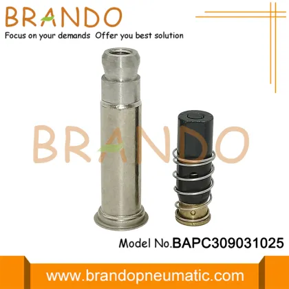 P206 DAIRYMASTER Milk Machine Solenoid Valve Armature