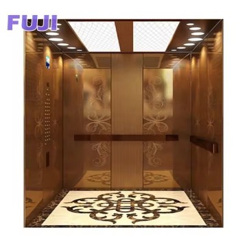 FUJI Modern Home Lift for Villas - Hydraulic/Traction, Indoor/Outdoor Elevator