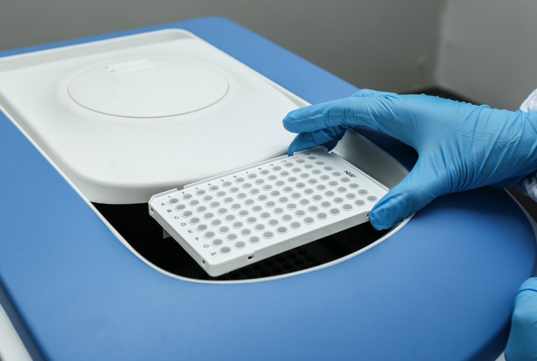 PCR Plates