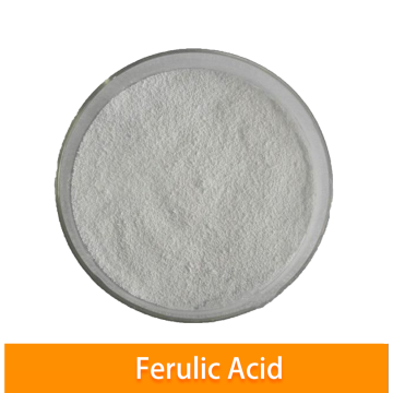 Natural Rice Bran Extract 98% Ferulic Acid Powder