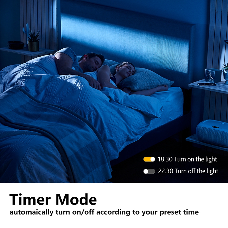 Timer Control Led Ceiling Light