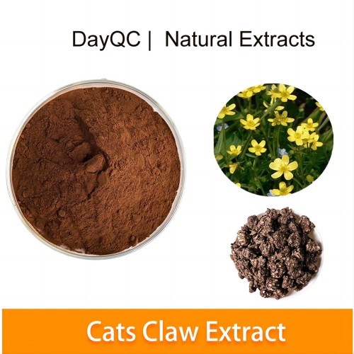 Cat's Claw Extract Powder 3 Alkaloids, High Quality Cat's Claw Extract
