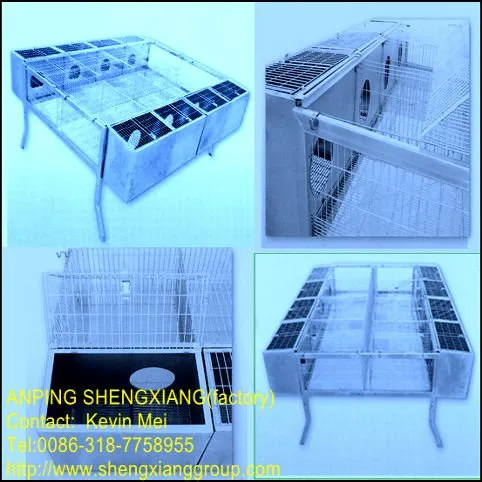 (factory)3 or 4 layers welded wire mother rabbit cages