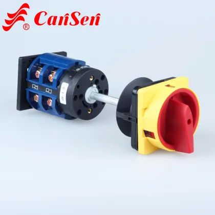 Cantak LW30-20 300040 Replacement KG41 Kraus&Naimer Switch