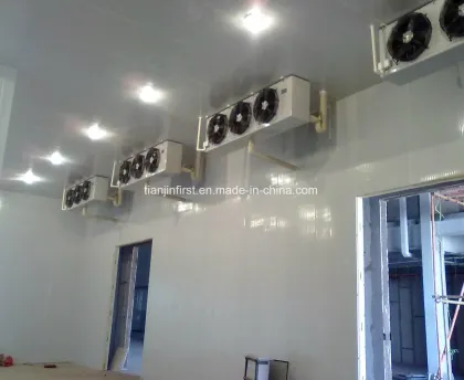 Cold Room / Cold Store / Cold Storage