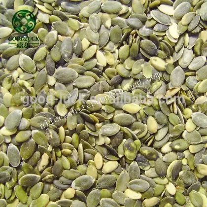 Styrian Type GWS A, AA, AAA Pumpkin Seeds                        
                                                Quality Choice