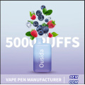 OEM Hot Sale Vape !! ELF BAR BC5000 Puffs