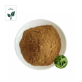 Acanthopanax Eleutherococcus Senticosus Extract Powder