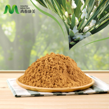 Migliora l&#39;immunità con l&#39;estratto di Yucca