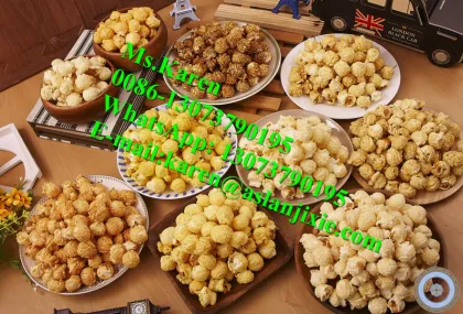 Industrial Popcorn Maker for Sale - American Ball Popcorn Machine & Caramel Popcorn Maker