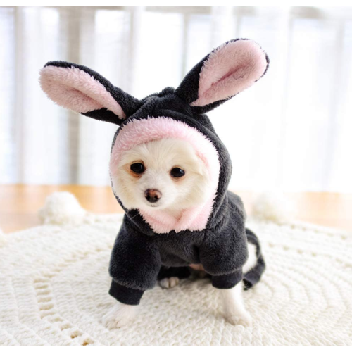 Halloween Haustier-Kostüm-Hundekleidung