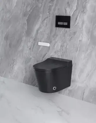 smart wall hung toilet
