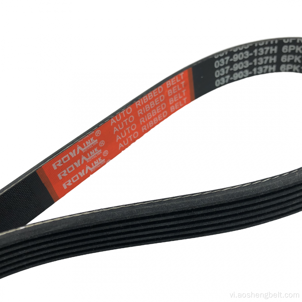 Đa chức năng Poly V Belt 6PK2584 OEM 2521225000