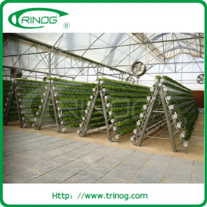 High tech hydroponics greenhouse for sale