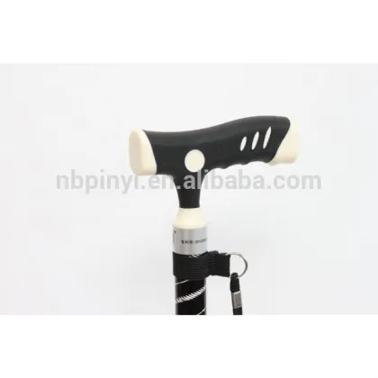 TRUSTY WALKING STICK