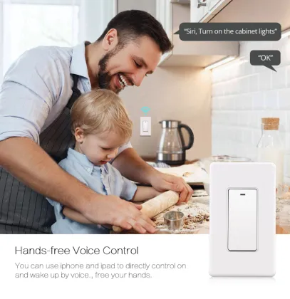 Remote Control Alexa Google Home Smart Switch