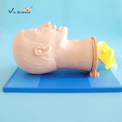 Air-way Management Training Model